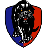 南阿德莱德黑豹后备队队标,南阿德莱德黑豹后备队图片