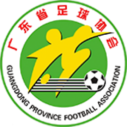 广东全运女足队标,广东全运女足图片